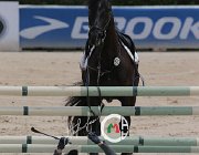 Giordano Carlton Wonder CsioArJYR SS7 8108 : CSIO Giovani Arezzo, Carlton Wonder, Giordano Martina, foto Stefano Secchi ©